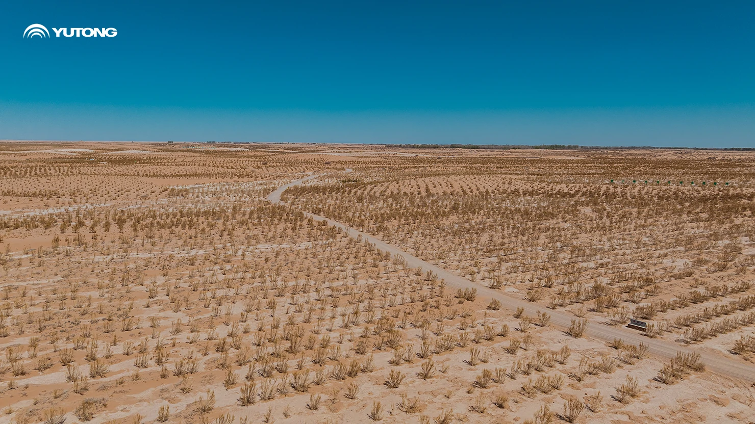 Yutong Launches 2026 Net Zero Forest Program: Bringing 44,218 Trees to Gansu in the First Phase