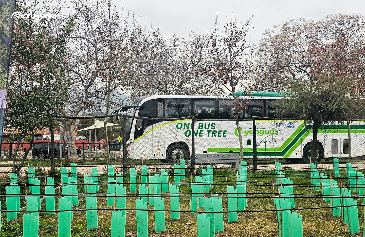 Yutong Launches 2026 Net Zero Forest Program: Bringing 44,218 Trees to Gansu in the First Phase